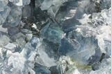 Celestine (Celestite) Geode ( Lbs) - Large Crystals! #106674-1